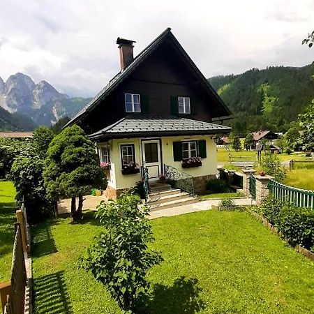 Ferienhaus Waldglueck ゴーザウ エクステリア 写真