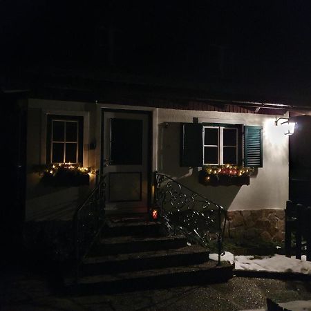 Ferienhaus Waldglueck ゴーザウ エクステリア 写真