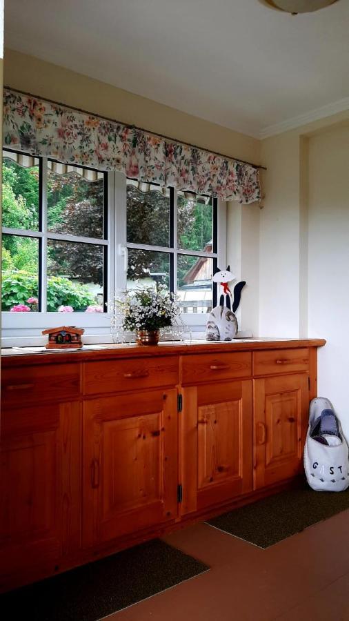 Ferienhaus Waldglueck ゴーザウ エクステリア 写真