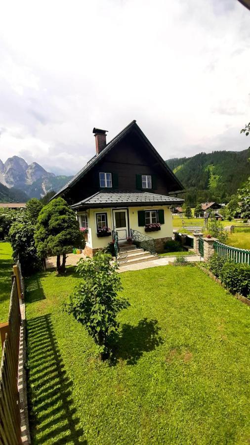 Ferienhaus Waldglueck ゴーザウ エクステリア 写真
