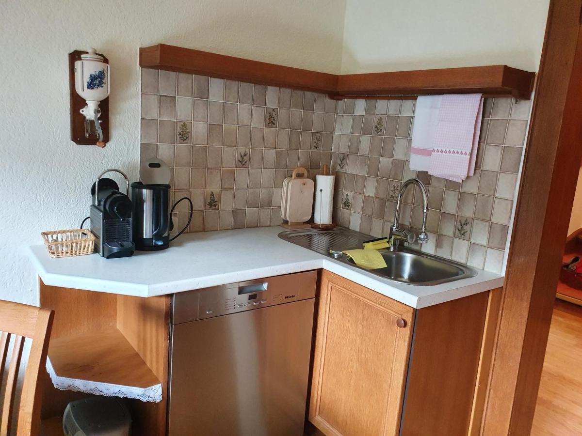 Ferienhaus Waldglueck ゴーザウ エクステリア 写真