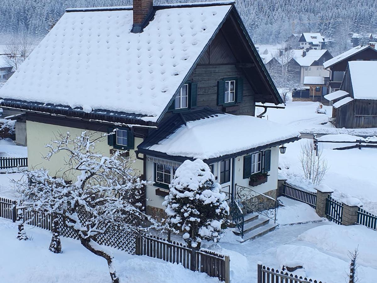 Ferienhaus Waldglueck ゴーザウ エクステリア 写真